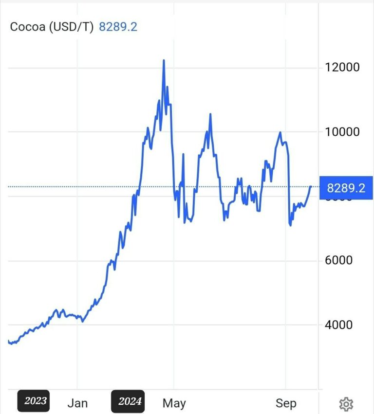 News BioCacao bitter as cacao: price increase